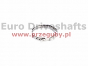 opaska duża ząbki